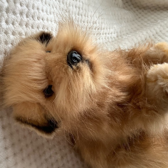 HANSA Toy Norfolk Terrier Realistic Dog Plush Stuffed Animal Toy Posable Legs - Picture 11 of 16